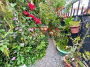 TIPSPROPIEDADES VENDE CASA EN GLASGOW UNO, LA FLORIDA