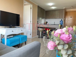 TIPSPROPIEDADES VENDE DEPARTAMENTO EN MANUEL ANTONIO TOCORNAL 588, SANTIAGO
