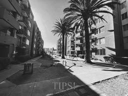 DEPARTAMENTO EN GRAN AVENIDA ALT. 1200, EL BOSQUE